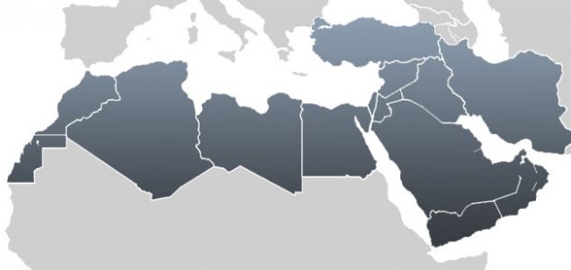 Mena region, important destination for American softwoods