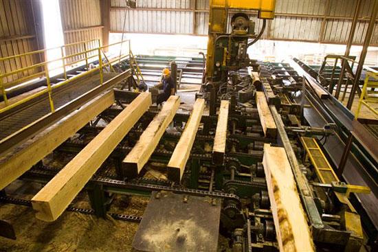 Great Southern Wood Preserving to open sawmill in Alabama - Global Wood ...