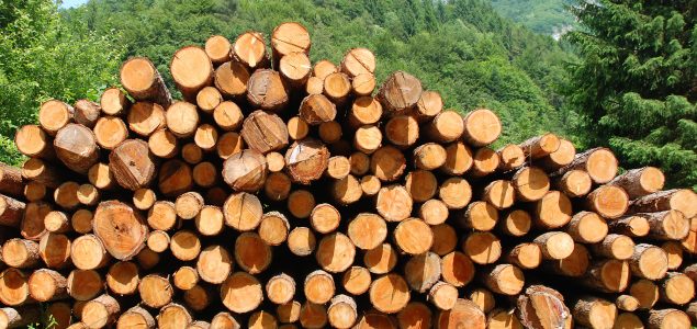 Austria: Boom in lumber prices now reflected in the payment to forest ...