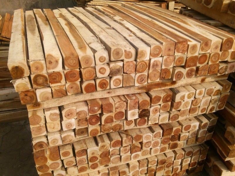 Rising lumber prices in Vietnam after unexpected Chinese 