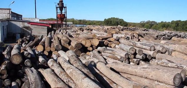 Analysis of the production characteristics of the Russian log market ...