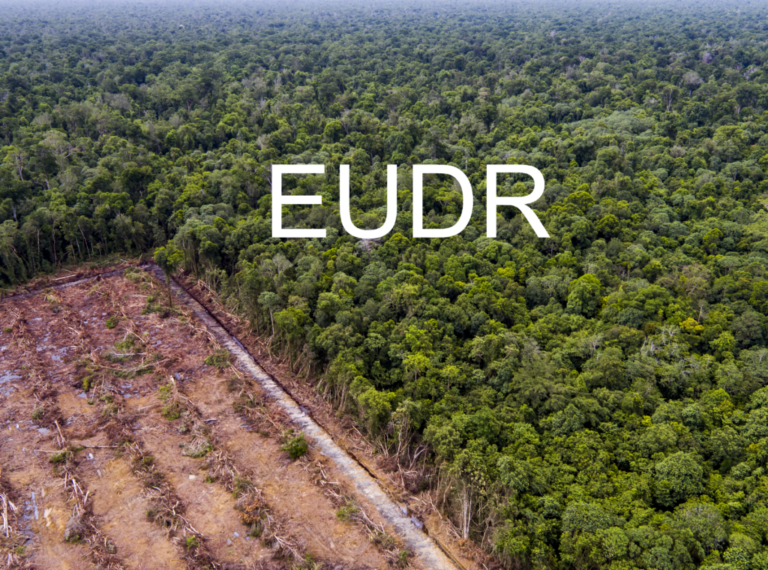 Eight U.S. Wood Groups Seek Delay Of EUDR - Global Wood Markets Info